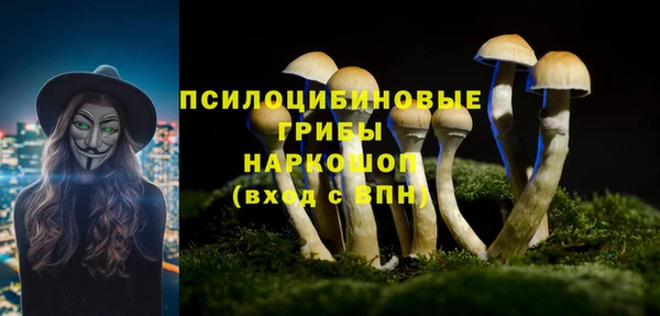 амф Богданович