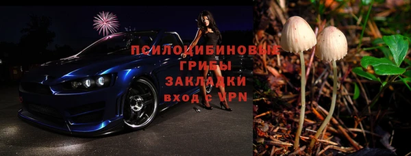 амф Богданович
